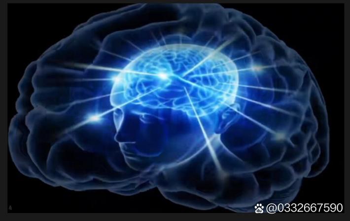 吃瓜网每日大赛 - 吃瓜不吐皮头像